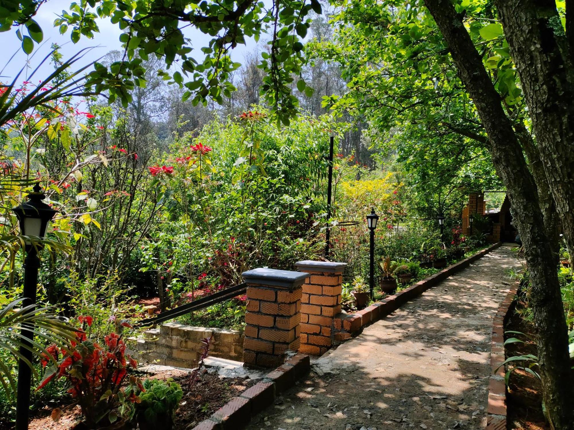Pear Tree Entire 2Bhk Villa Kotagiri Dış mekan fotoğraf