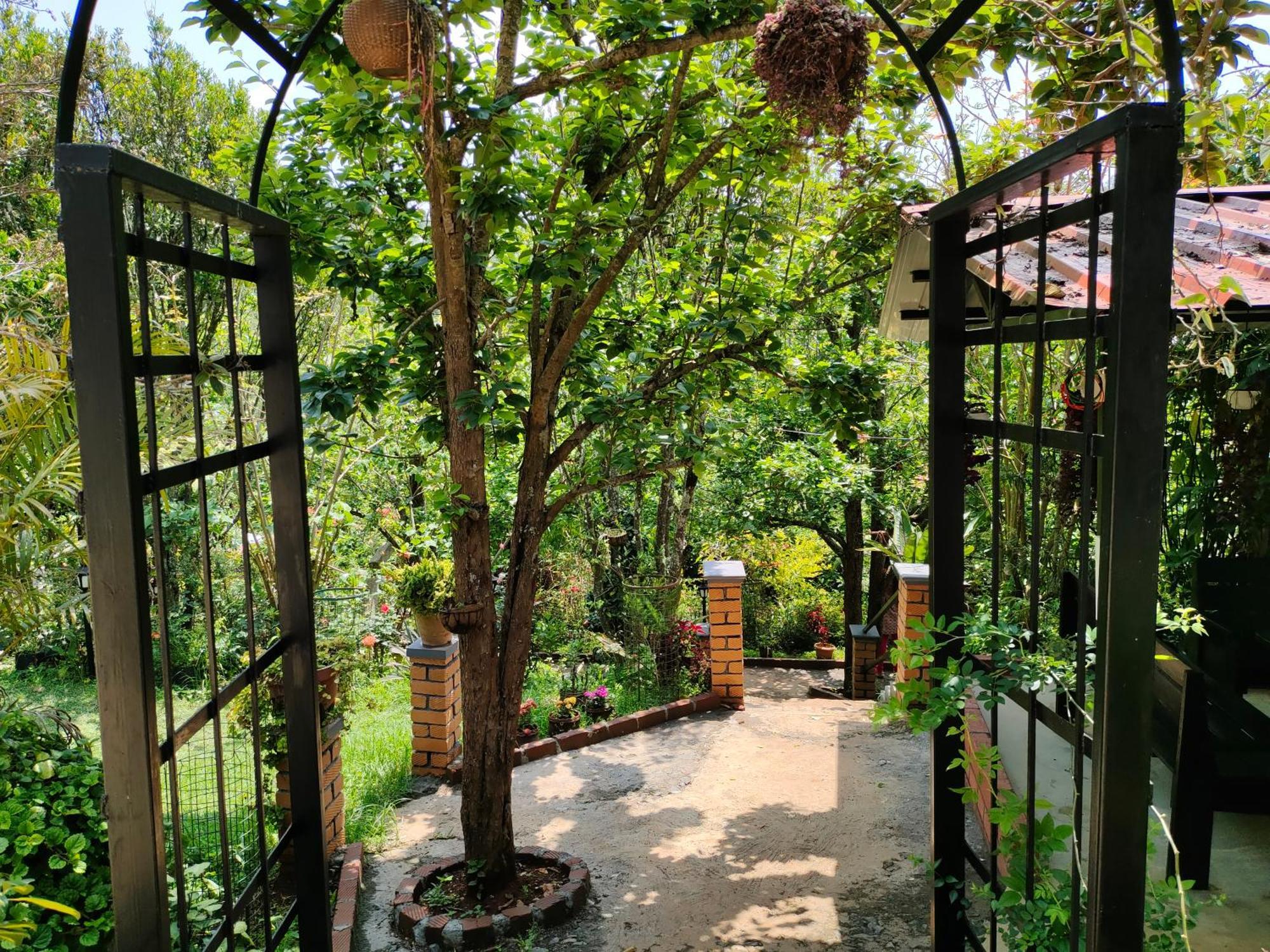 Pear Tree Entire 2Bhk Villa Kotagiri Dış mekan fotoğraf