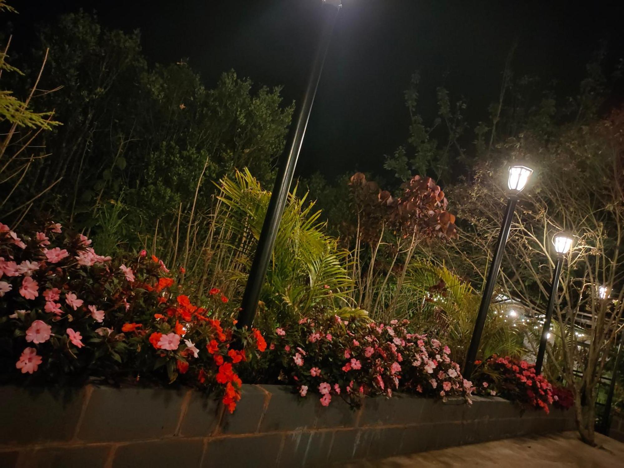 Pear Tree Entire 2Bhk Villa Kotagiri Dış mekan fotoğraf