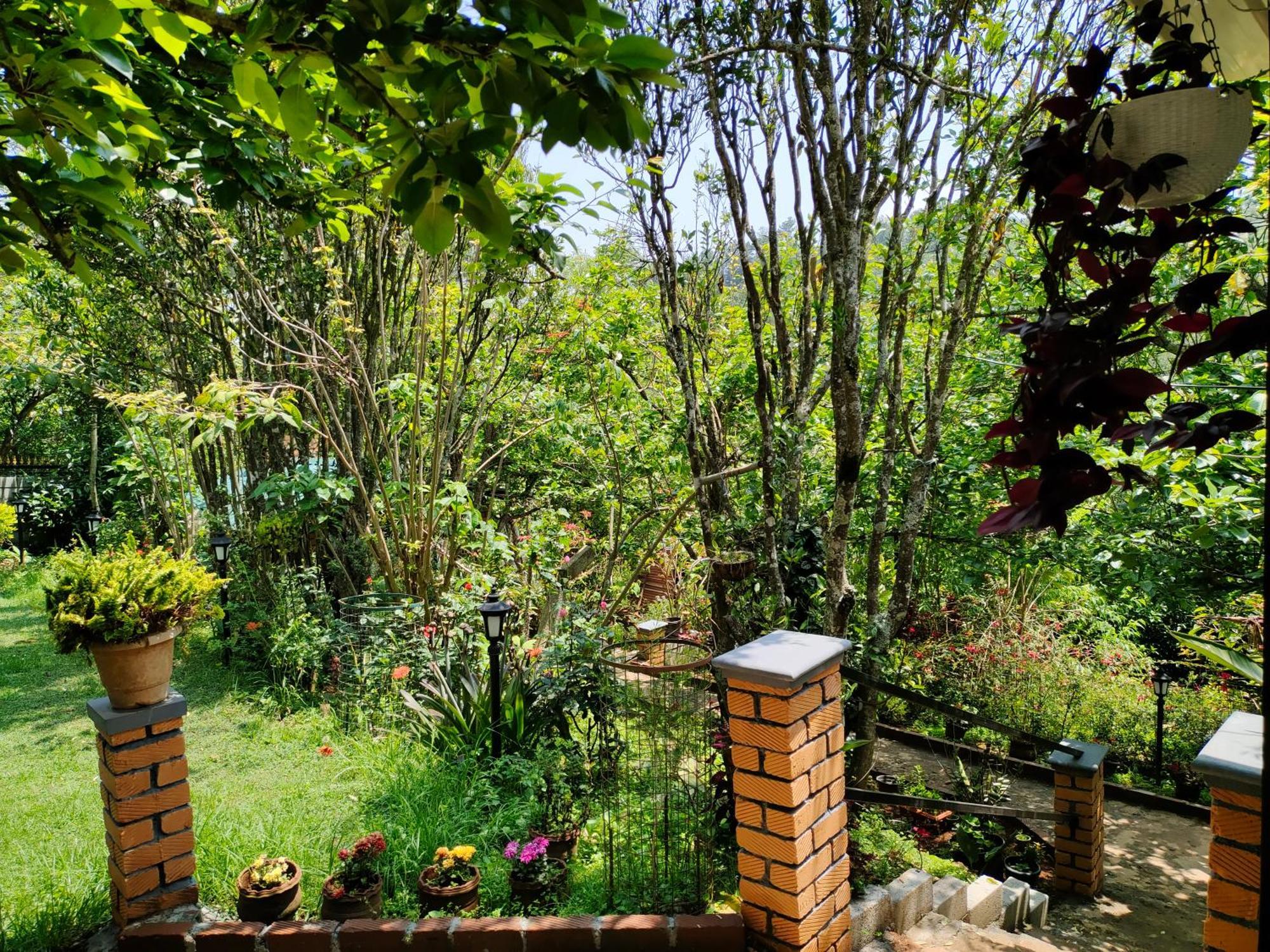 Pear Tree Entire 2Bhk Villa Kotagiri Dış mekan fotoğraf