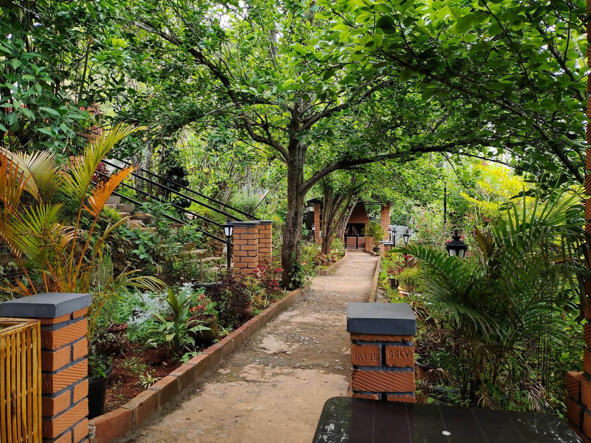 Pear Tree Entire 2Bhk Villa Kotagiri Dış mekan fotoğraf